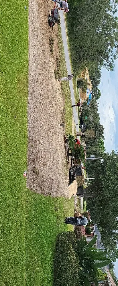 Top-rated landscape design in Navarre, FL by T & W Landscape Experts