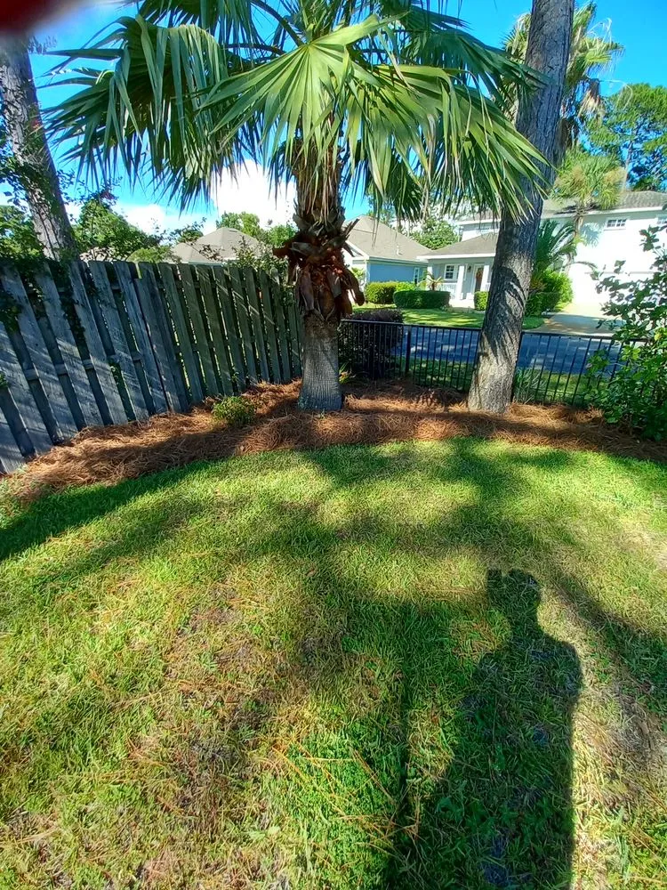 Expert lawn care service for year-round maintenance across Navarre, FL - T & W Landscape Experts
