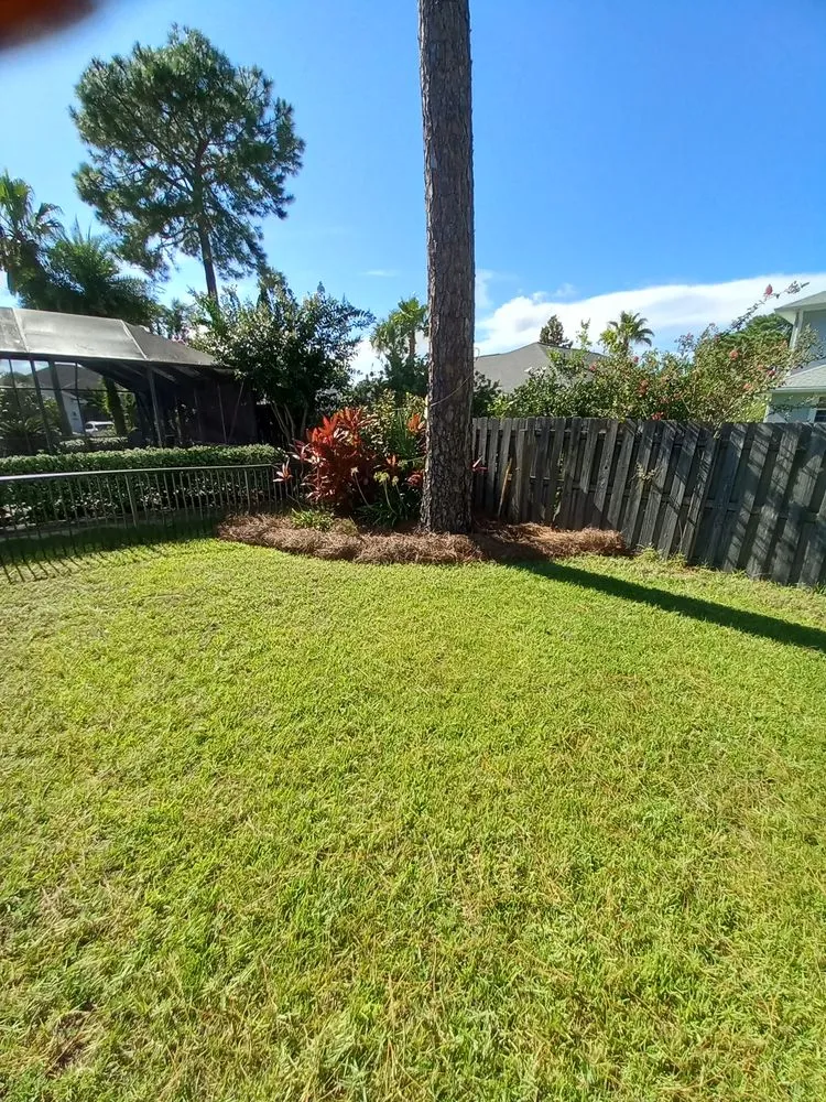 Custom yard cleanup service experts serving Navarre, FL - T & W Landscape Experts