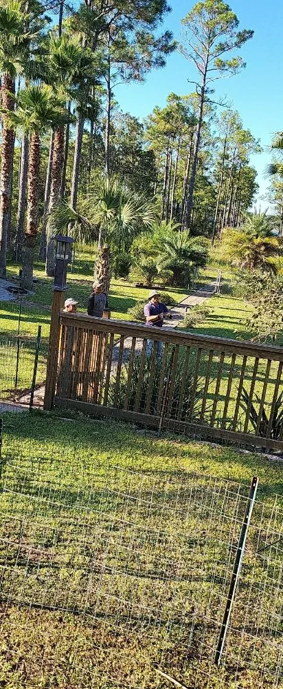 Local landscape installation for outdoor upgrades in Navarre, FL by T & W Landscape Experts