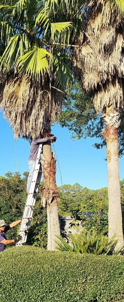 Top-rated yard maintenance in Navarre, FL by T & W Landscape Experts