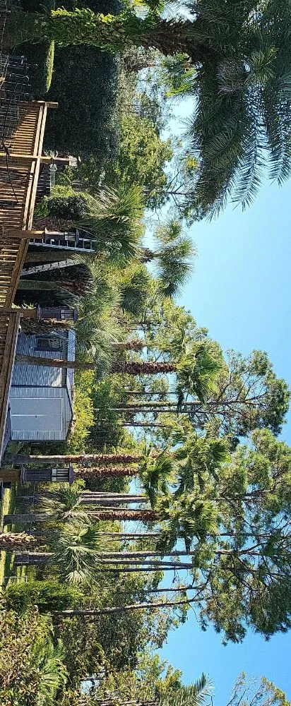 Top-rated landscape installation in Navarre, FL by T & W Landscape Experts