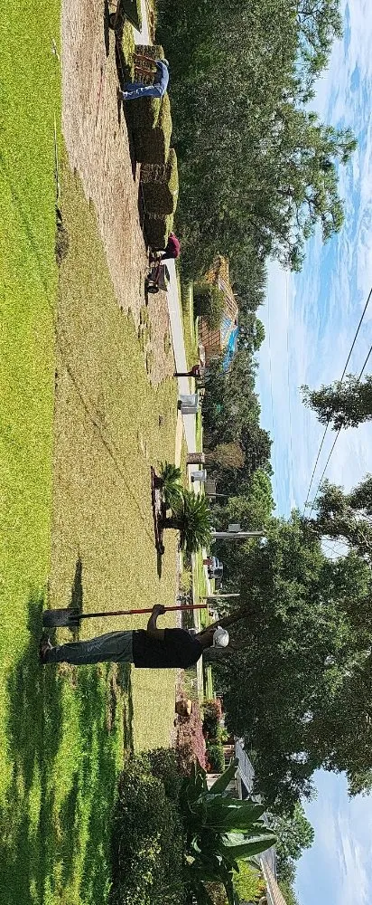 Affordable lawn mowing service experts serving Navarre, FL - T & W Landscape Experts