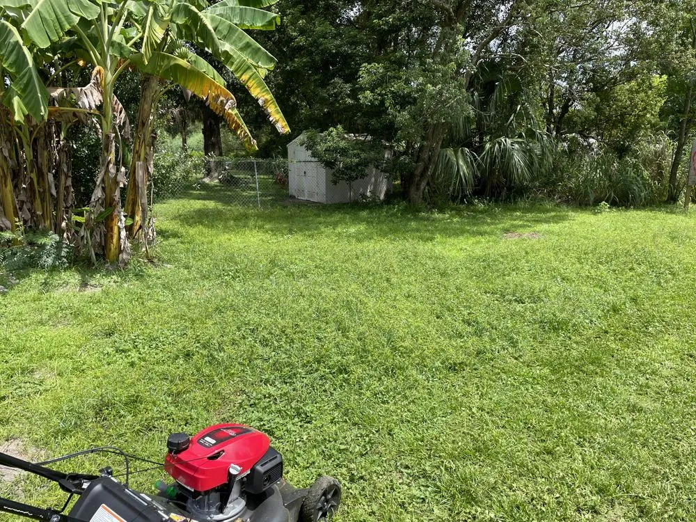 Expert lawn care service experts serving Oviedo, FL - T & W Lawn Care