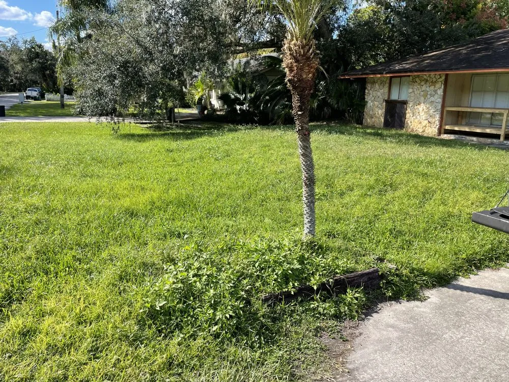 Trusted outdoor landscaping experts serving Oviedo, FL - T & W Lawn Care