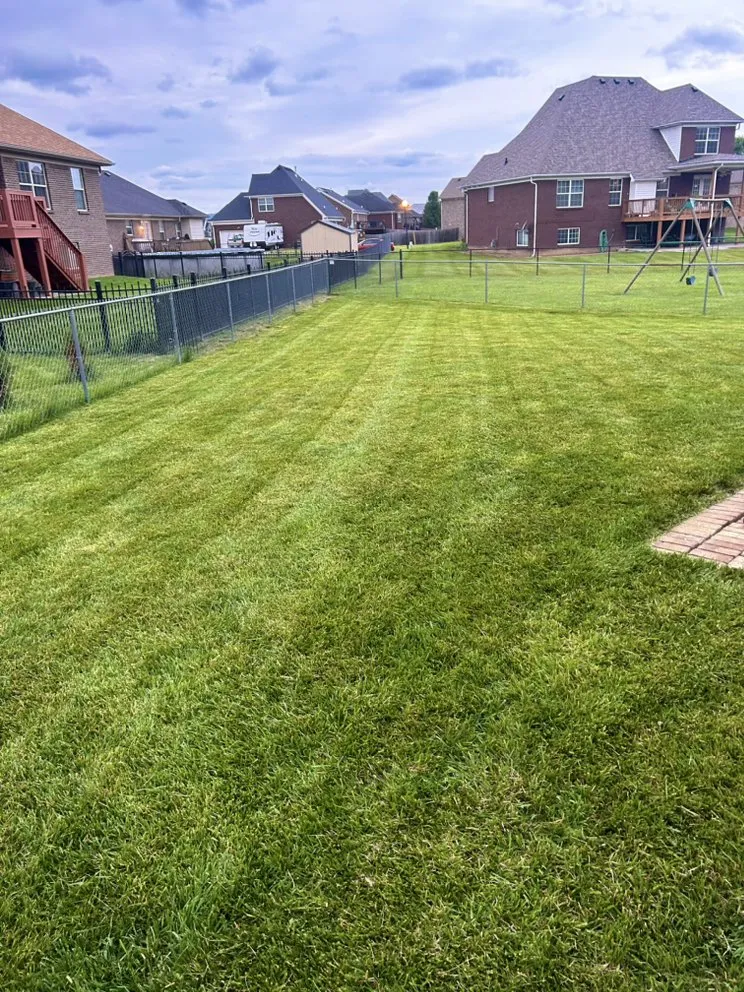 Expert yard cleanup service with custom design in Shepherdsville, KY by T & Z Lawncare & Pressure Washing