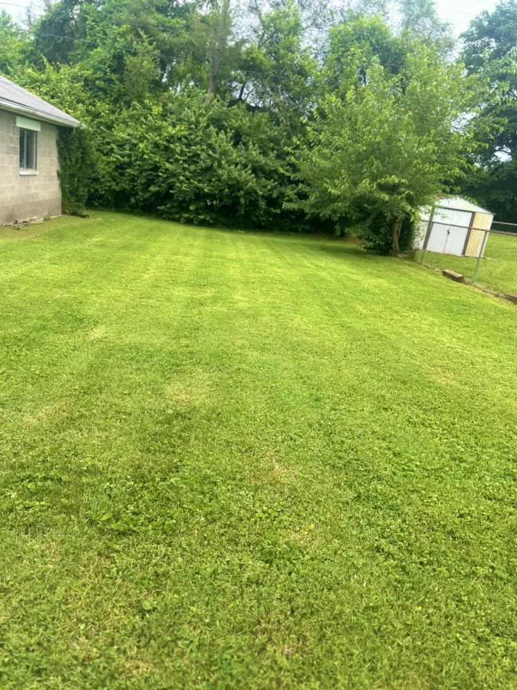 Top-rated yard maintenance in Shepherdsville, KY - T & Z Lawncare & Pressure Washing