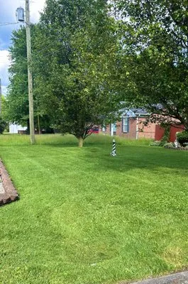 T & Z Lawncare & Pressure Washing Logo