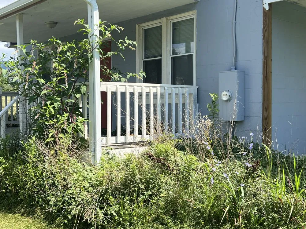 Local landscaping services in Strasburg, VA by T-A & Sons Landscaping Company