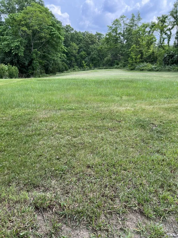 Affordable landscape installation for beautiful yards in Strasburg, VA by T-A & Sons Landscaping Company