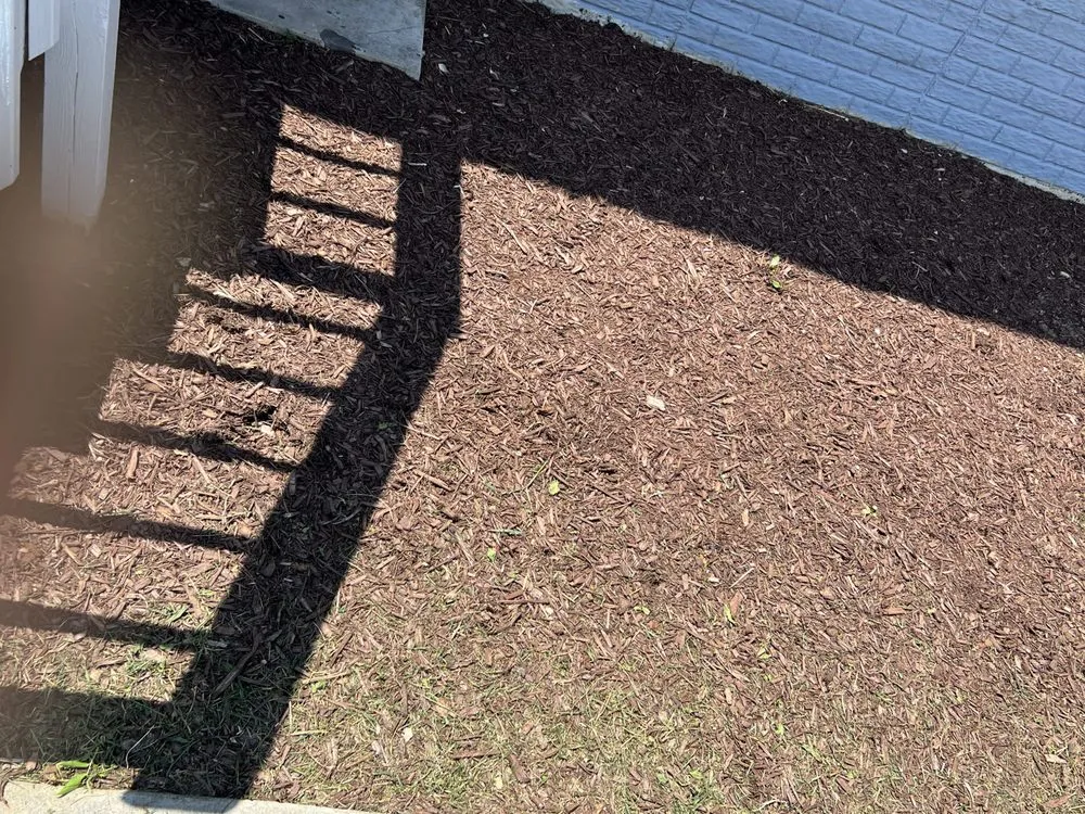 Expert yard cleanup service experts serving Strasburg, VA - T-A & Sons Landscaping Company