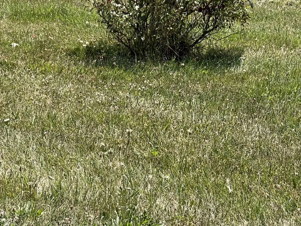 Local garden landscaping in Strasburg, VA - T-A & Sons Landscaping Company