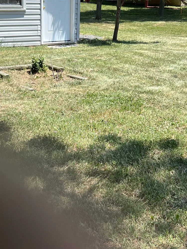 Expert yard maintenance in Strasburg, VA - T-A & Sons Landscaping Company