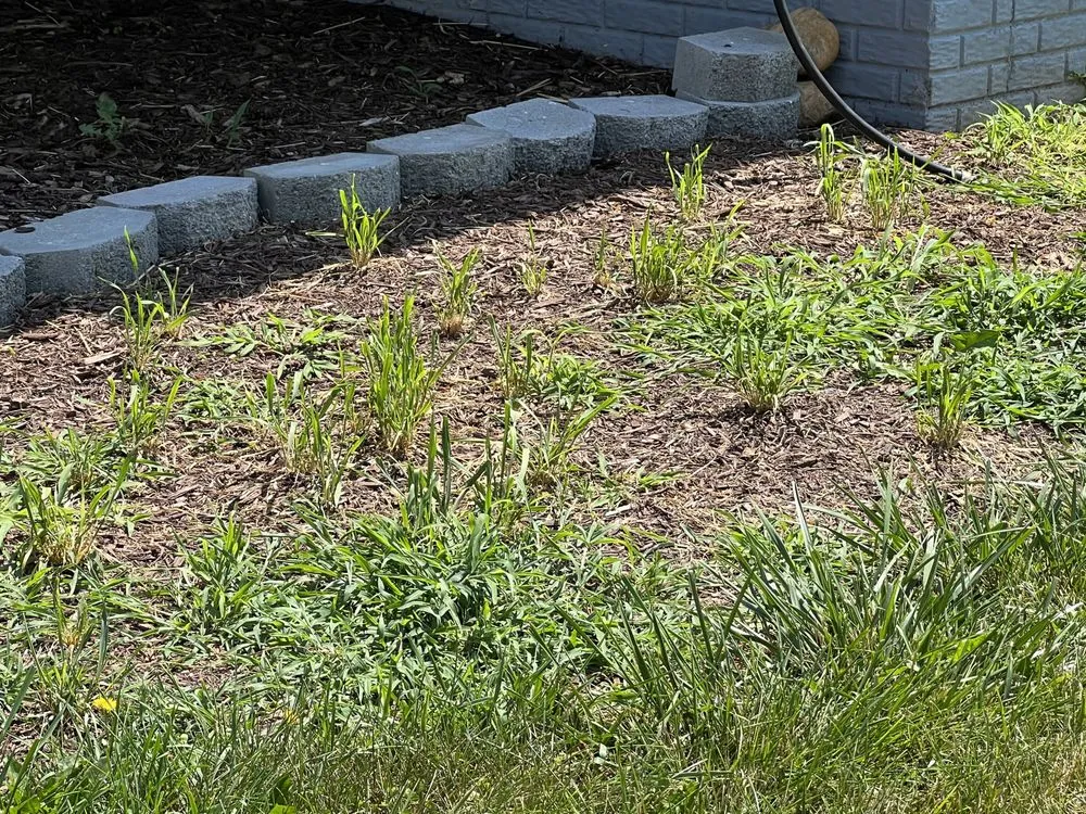 Top-rated residential landscaping in Strasburg, VA by T-A & Sons Landscaping Company