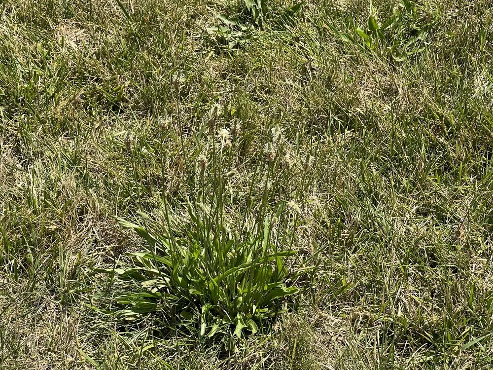 Expert outdoor landscaping in Strasburg, VA by T-A & Sons Landscaping Company