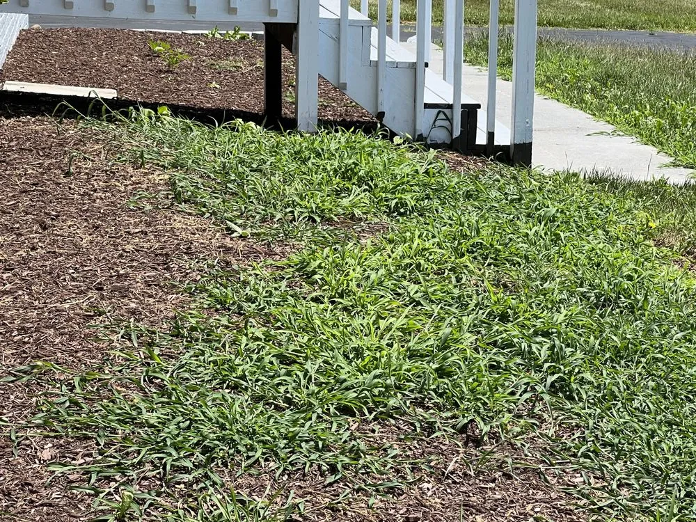 Top-rated landscaping services in Strasburg, VA - T-A & Sons Landscaping Company