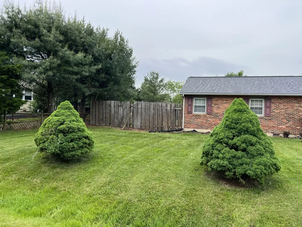 Professional lawn care service in Strasburg, VA by T-A & Sons Landscaping Company