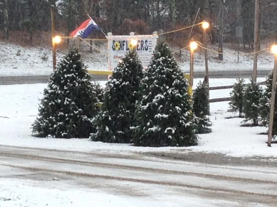 Professional yard maintenance in Wellfleet, MA - T A Edwards & Sons