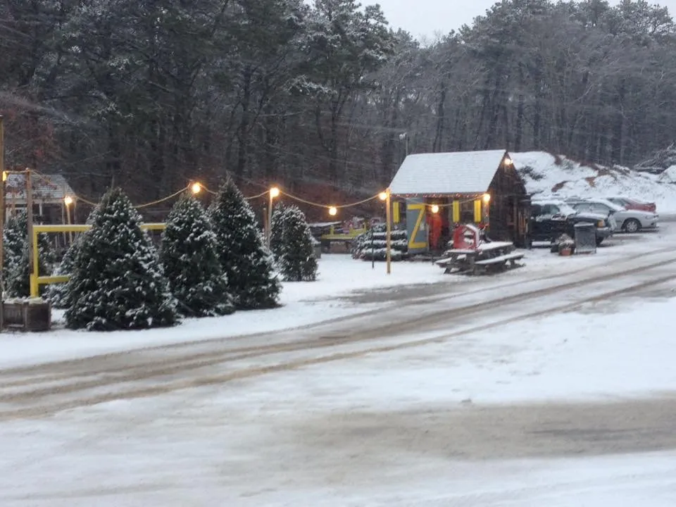 Trusted yard maintenance for beautiful yards across Wellfleet, MA - T A Edwards & Sons