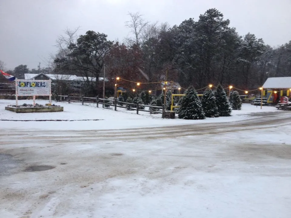 Affordable residential landscaping for residential properties across Wellfleet, MA - T A Edwards & Sons