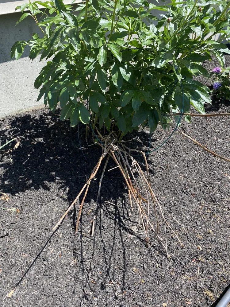 Top-rated garden landscaping for residential properties across Brookfield, MA - T A Services Lawn Care and Design