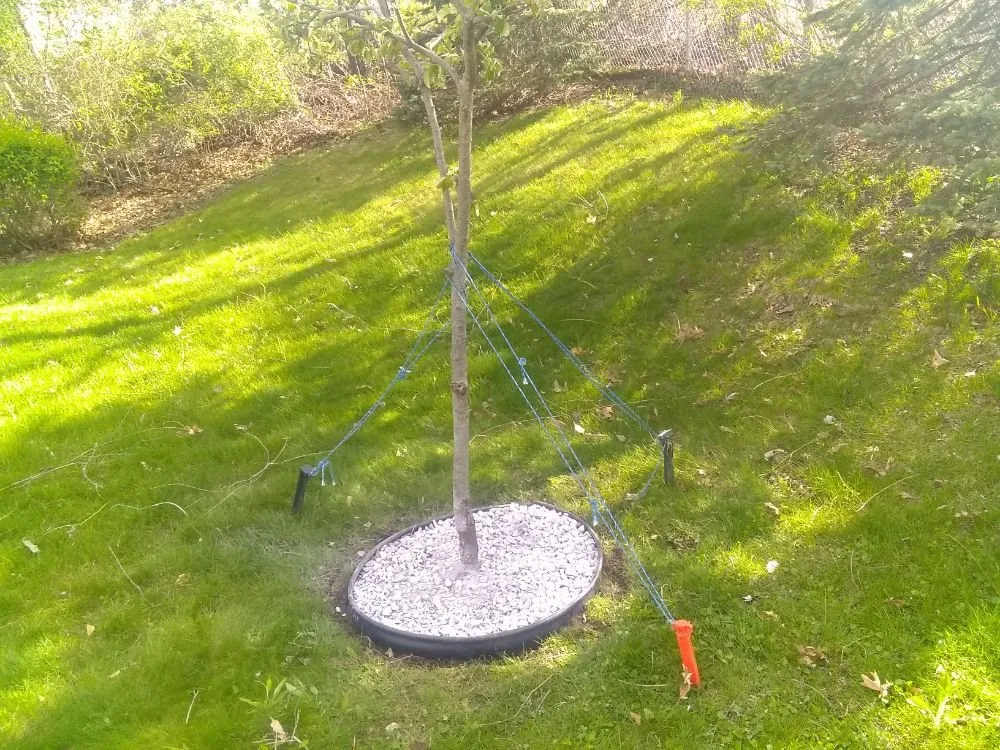 Expert yard maintenance in Brookfield, MA - T A Services Lawn Care and Design