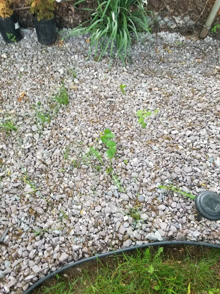 Professional yard cleanup service in Brookfield, MA - T A Services Lawn Care and Design