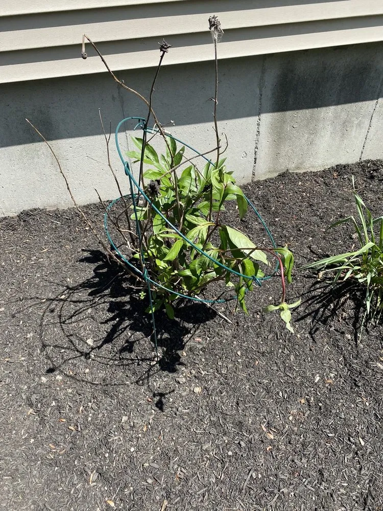 Reliable outdoor landscaping for residential properties across Brookfield, MA - T A Services Lawn Care and Design