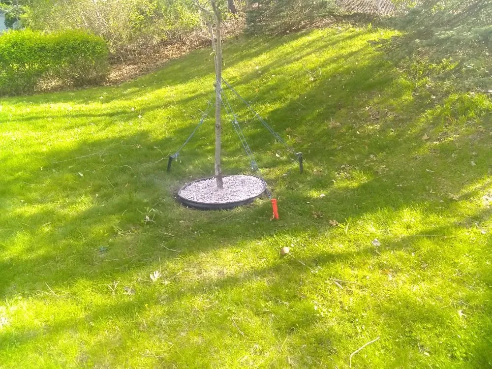 Trusted lawn mowing service in Brookfield, MA - T A Services Lawn Care and Design