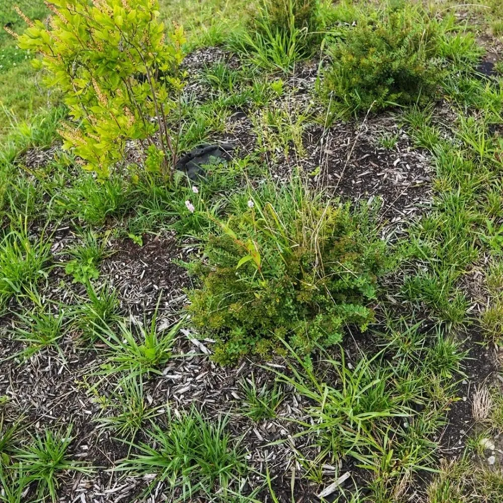 Expert garden landscaping for homes across Macedon, NY - T A Stone Works & Landscaping