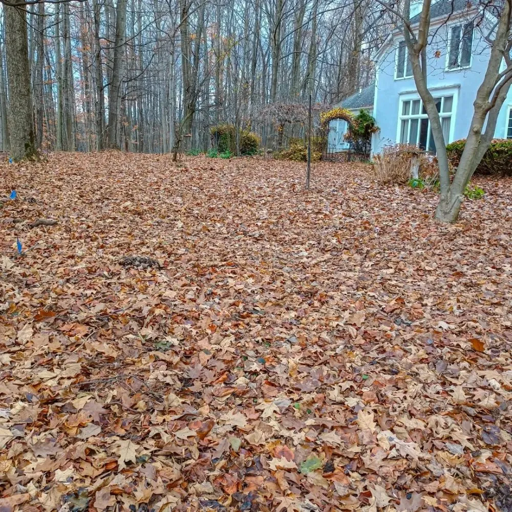 Affordable outdoor landscaping in Macedon, NY - T A Stone Works & Landscaping