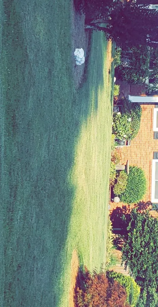 Expert garden landscaping for year-round maintenance in Kernersville, NC by T And A Express