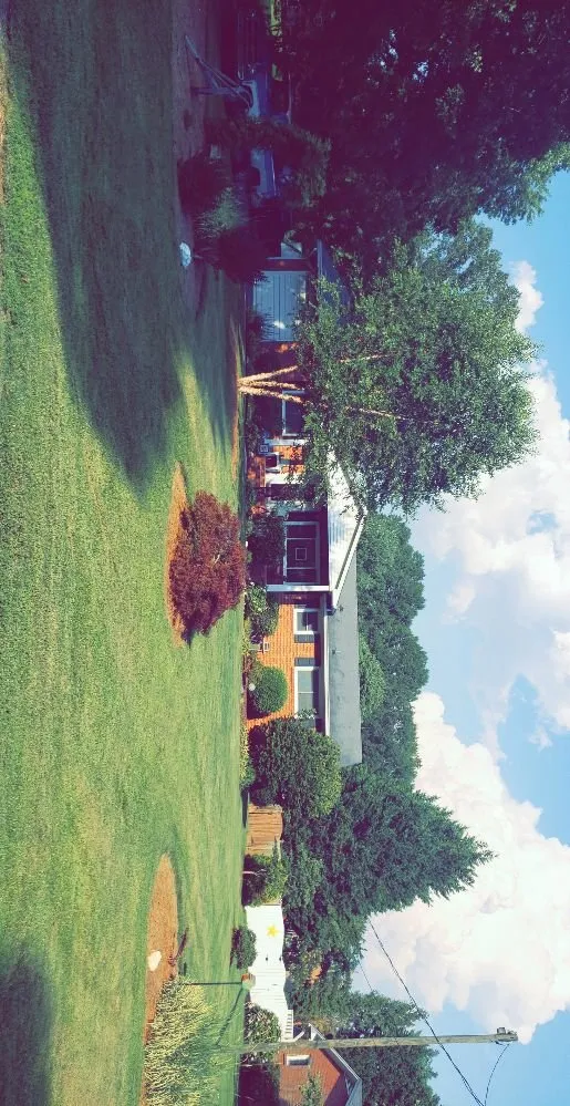 Professional yard maintenance for homes across Kernersville, NC - T And A Express