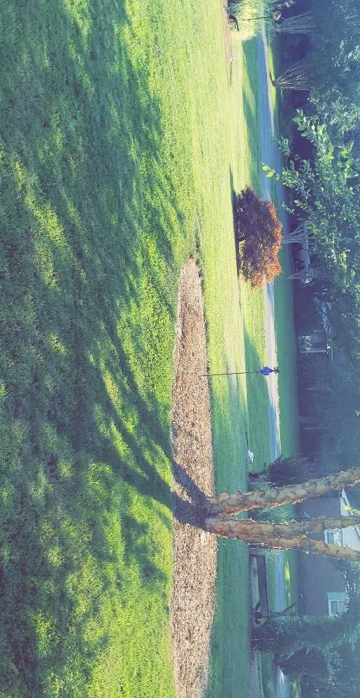 Custom garden landscaping for residential properties in Kernersville, NC by T And A Express