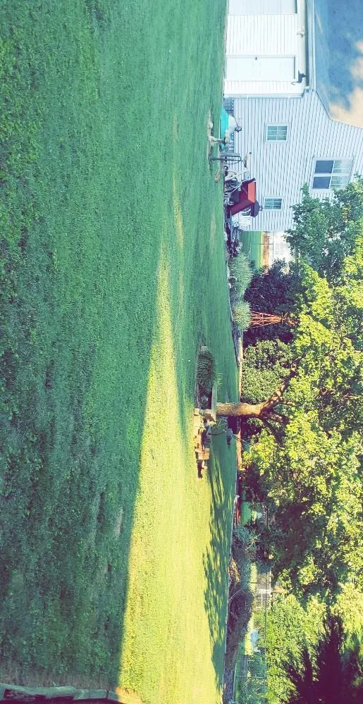 Trusted outdoor landscaping experts serving Kernersville, NC - T And A Express