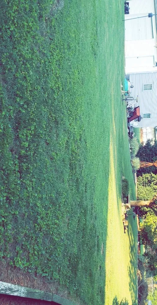 Custom lawn care service for outdoor upgrades in Kernersville, NC by T And A Express