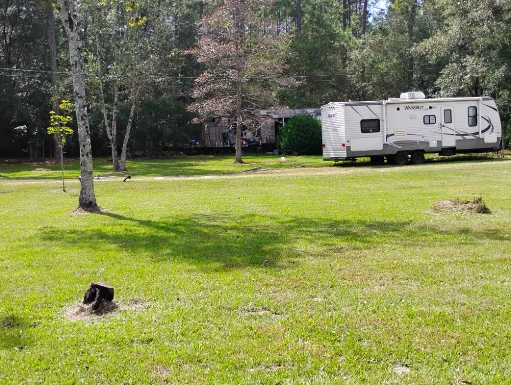 Professional lawn care service with custom design in Gulfport, MS by T And A Working Miracles Lawn Care