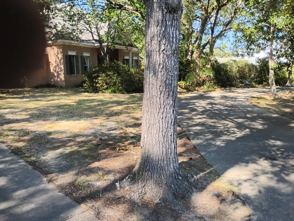 Custom landscape installation in Gulfport, MS by T And A Working Miracles Lawn Care