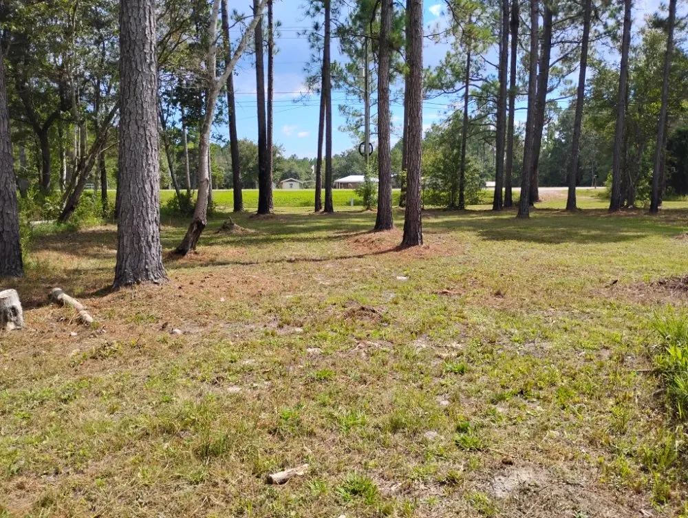 Top-rated lawn care service in Gulfport, MS - T And A Working Miracles Lawn Care