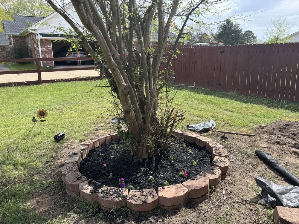 Affordable yard maintenance in Gladewater, TX - T and C lawn care