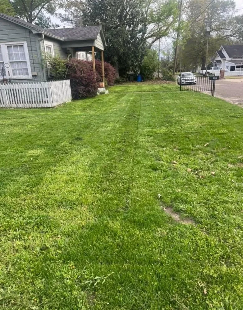 Reliable landscape design in Gladewater, TX - T and C lawn care