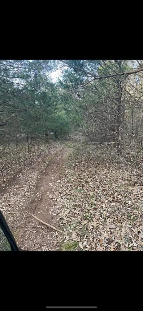 Expert landscaping services in Springfield, MO by T and D Land Management