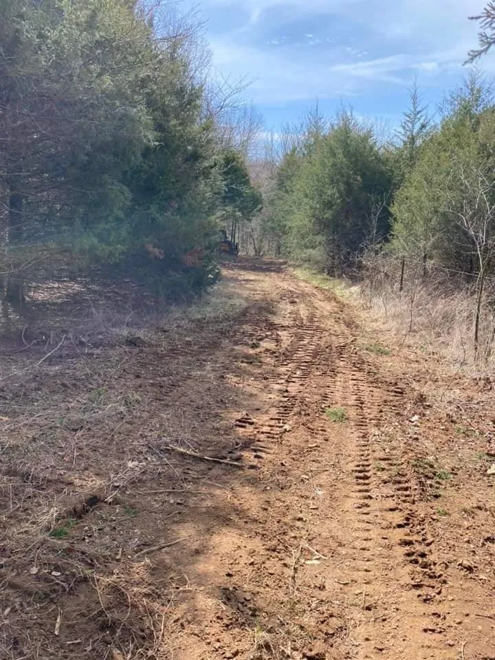 Expert lawn care service with custom design across Springfield, MO - T and D Land Management