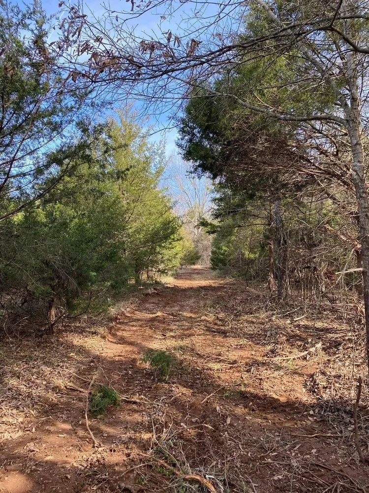 Custom outdoor landscaping for beautiful yards across Springfield, MO - T and D Land Management