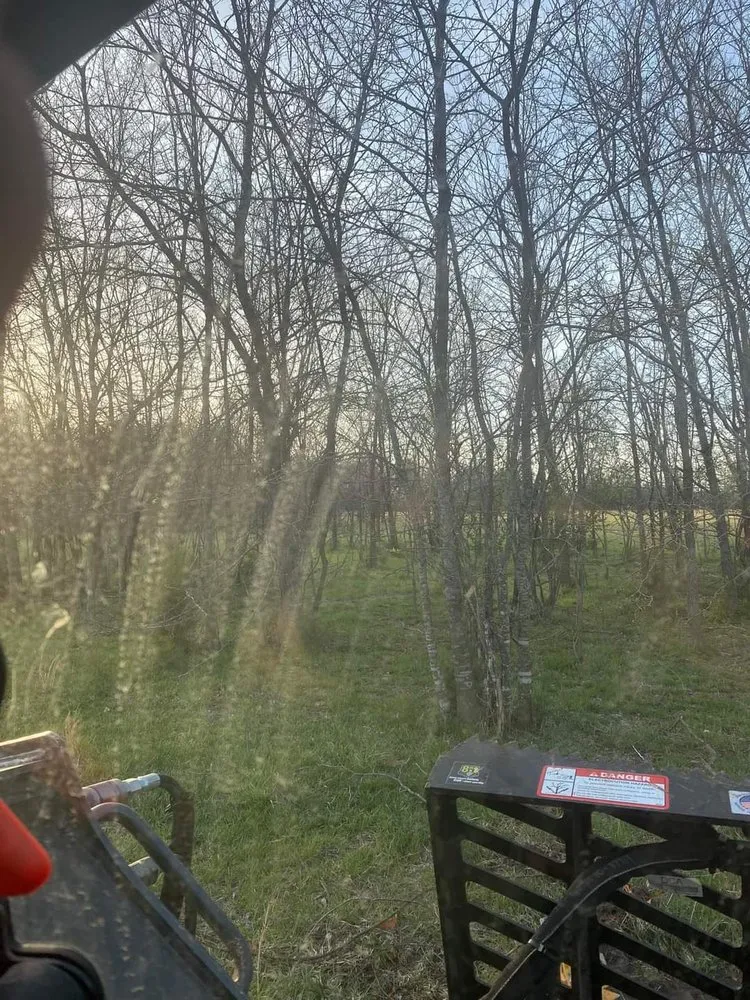 Top-rated landscape design experts serving Springfield, MO - T and D Land Management