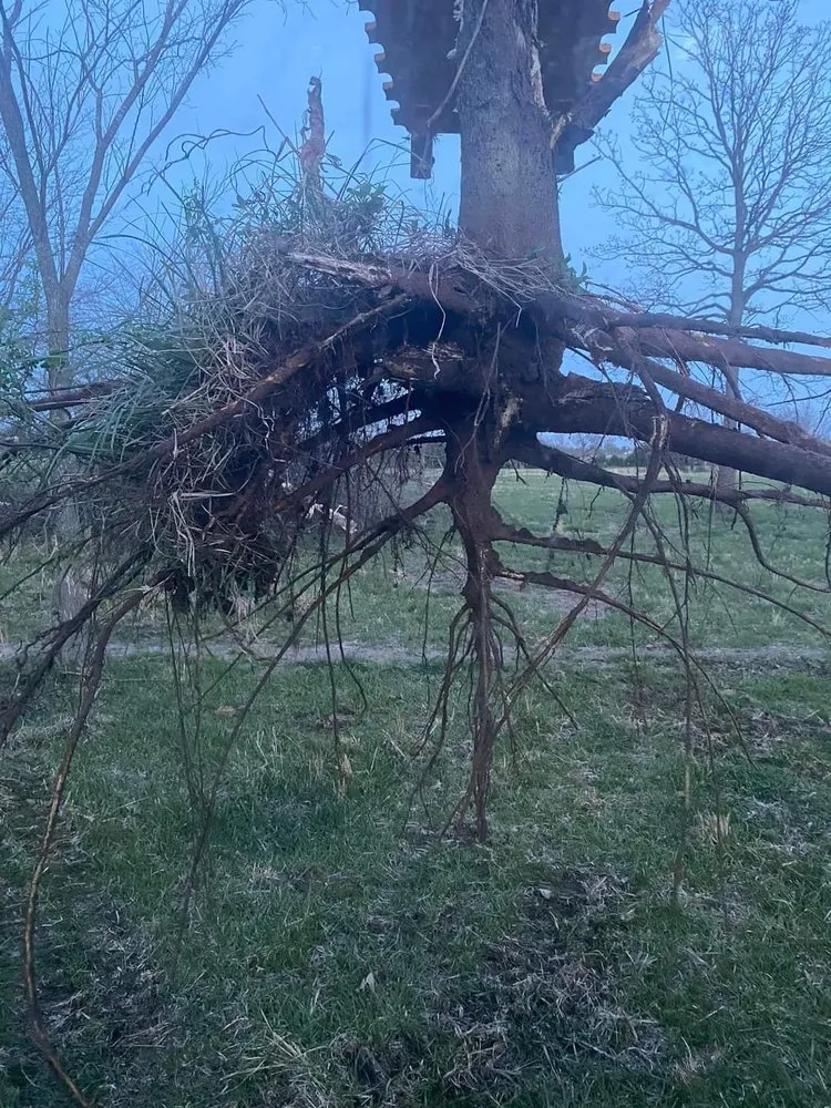 Expert residential landscaping experts serving Springfield, MO - T and D Land Management