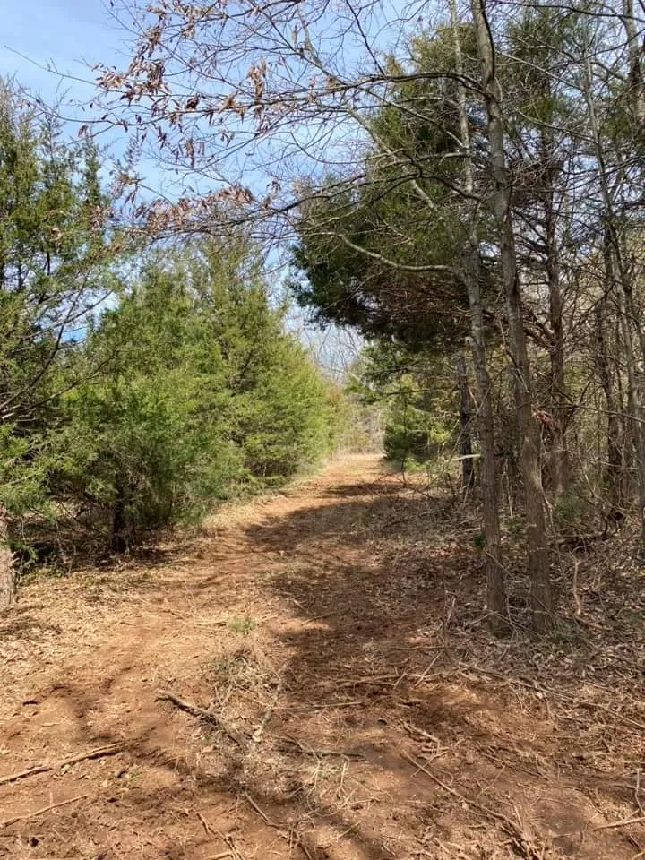 Top-rated landscape design in Springfield, MO by T and D Land Management