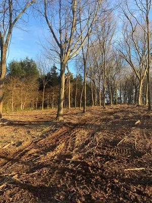 T and D Land Management