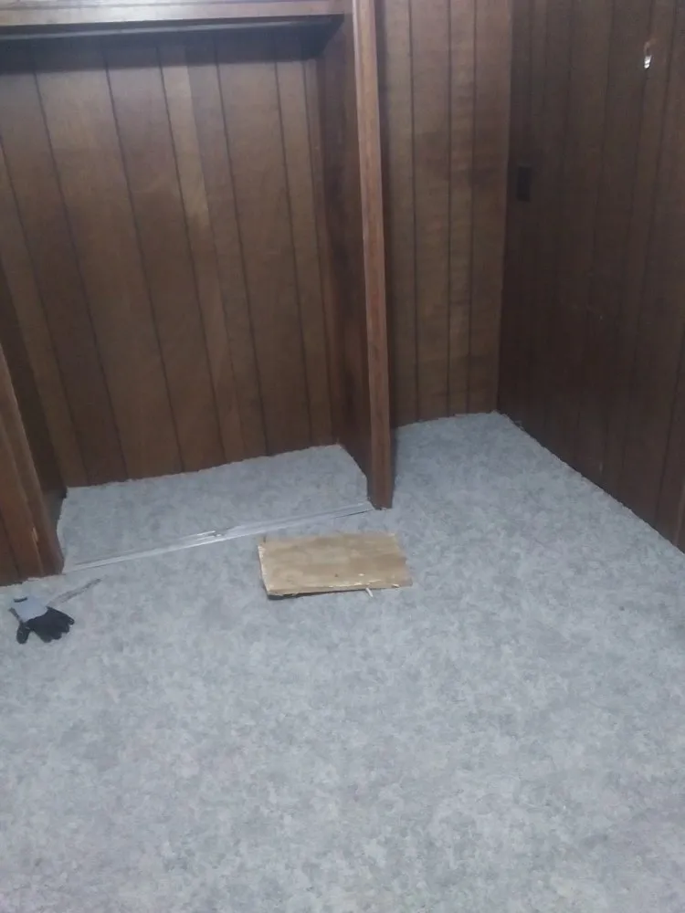 Professional landscaping services in Jennings, MO by T And G Solutions