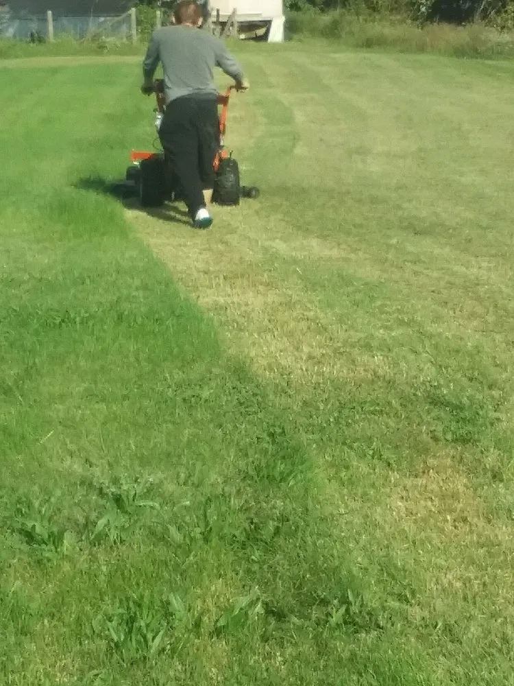 Professional landscaping services in Jennings, MO by T And G Solutions